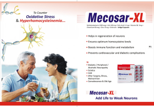 Mecosar-XL