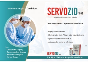 Servozid