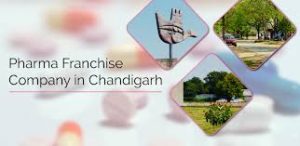 Pharma Franchise Company in Chandigarh